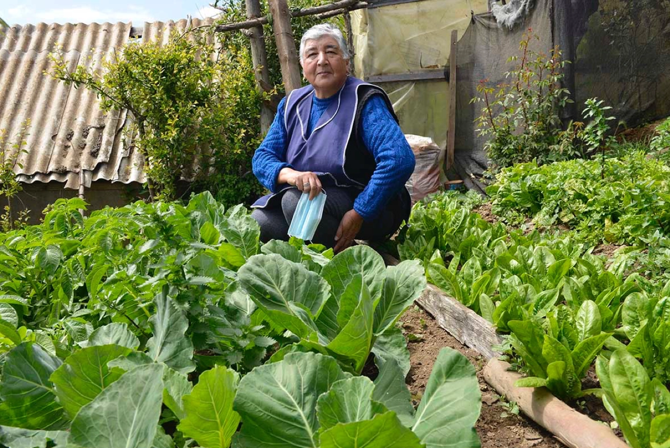 Autosuficiencia alimentaria